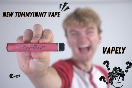 tommyinnit vape and vapely