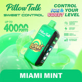 Pillow Talk Disposable Vape Miami Mint Pillow Talk SC40000 Ice & Sweet Control Disposable Vape (5%, 40000 Puffs)